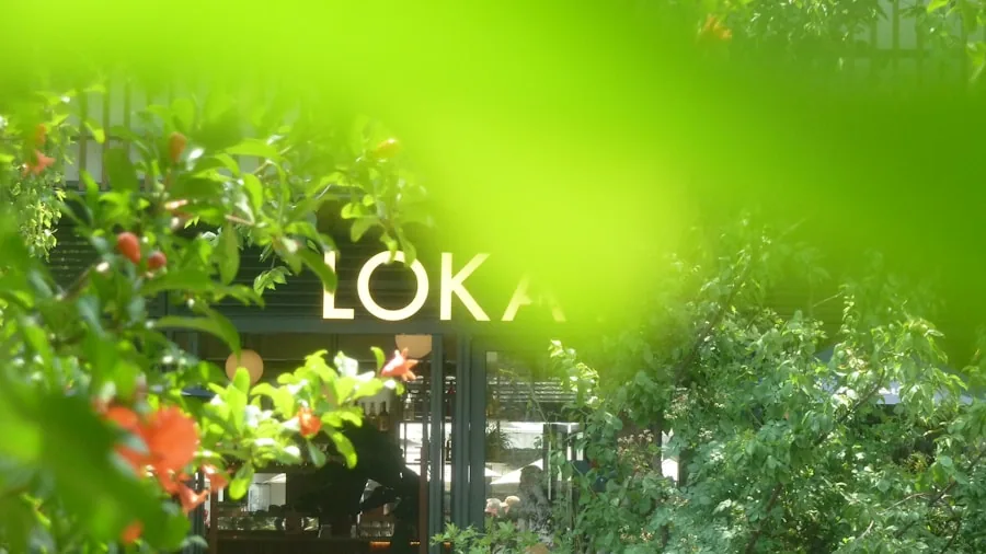 Marvel Star Tom Hiddleston on Watching Loki Before the New Avengers Film Arrives in December 3 actor tom hiddleston loki character