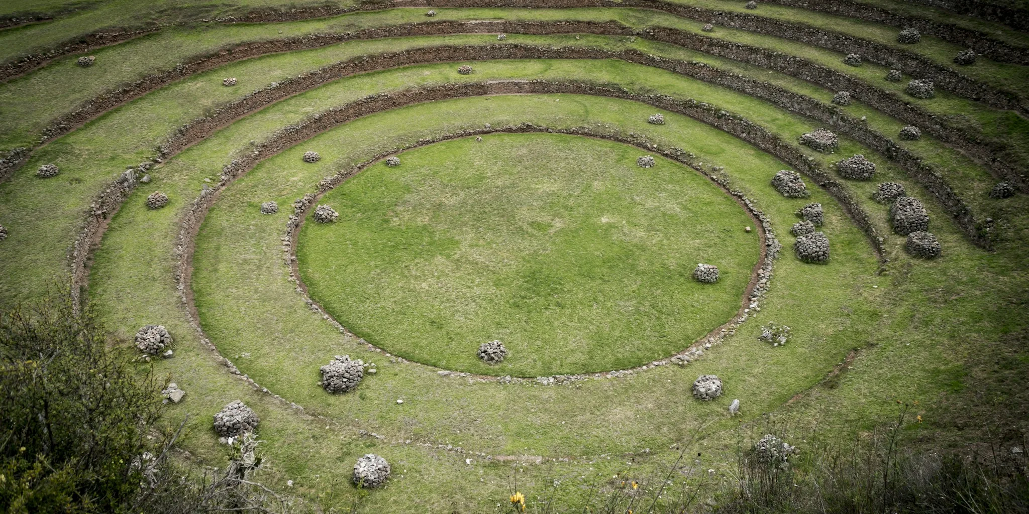 Saw Discovery in English Forest Reveals Ancient Ceremonial Site What Shoppers Should Know