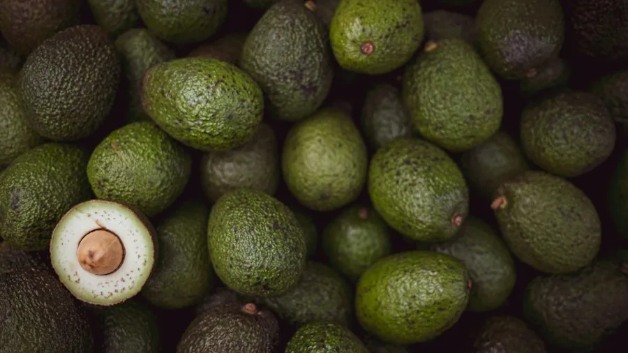 7 Tips to Grow Plants From Kitchen Scraps on Your Windowsill 3 avocado stone water rooting jar