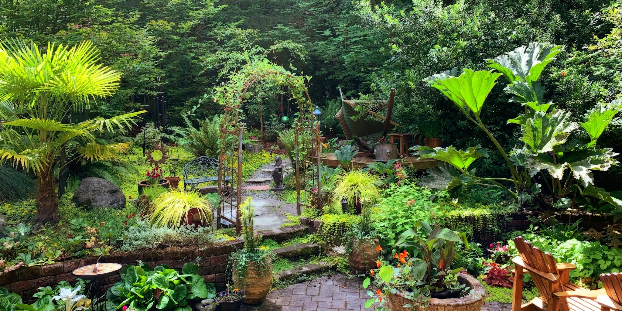 6 Fast Growing Shrubs for Summer Shade You Can Plant Now