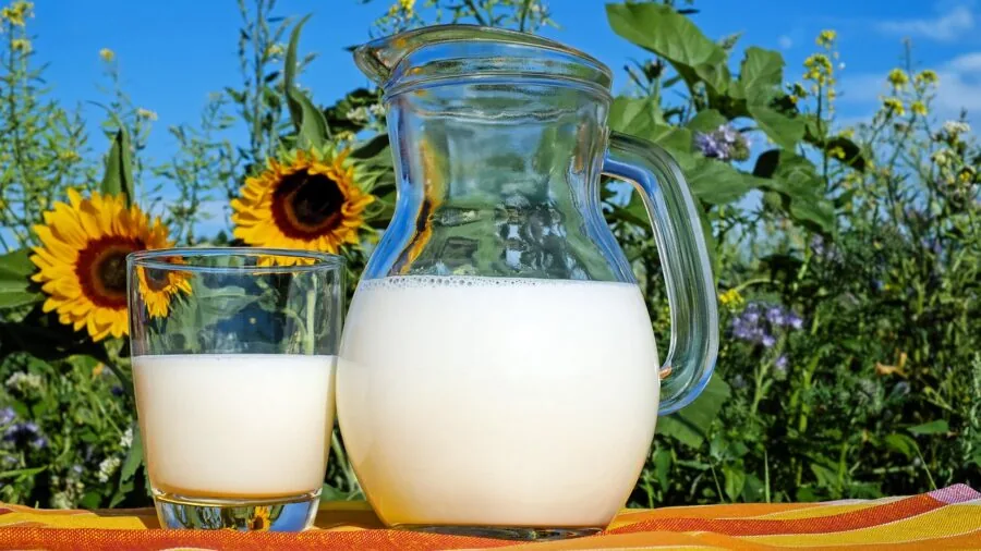 banana milk dairy aisle