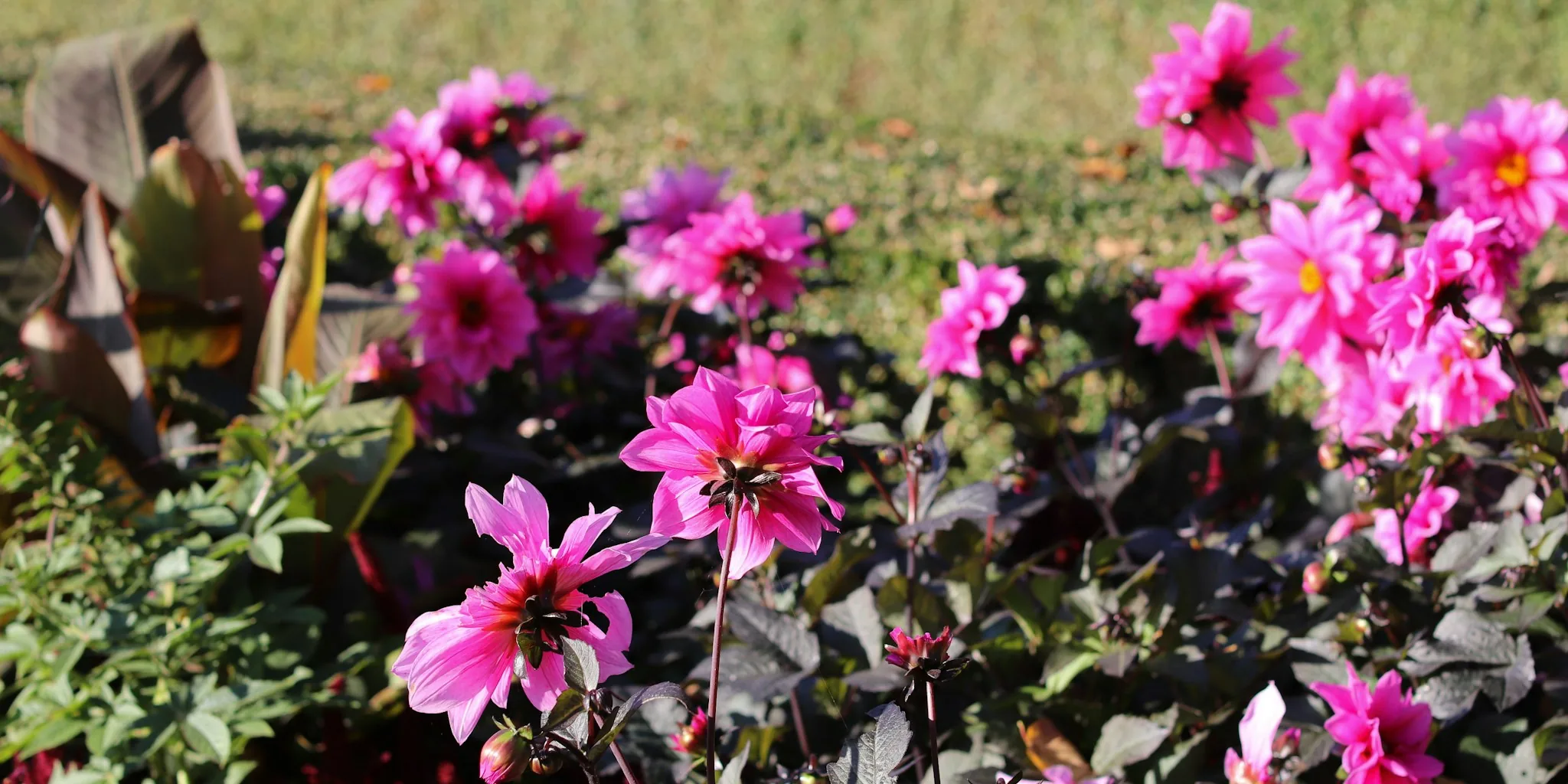 Seven Design Hacks That Transform Any Garden