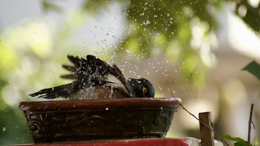 Heat Wave Bird Care: Why Frozen Peas Are a Game Changer for Your Garden Visitors 3 bird bath with water and plants