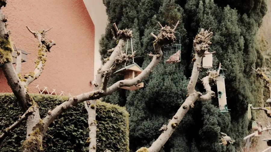 Citrus Fruit Slug Control: A Clever Dual Purpose Gardening Solution for Natural Pest Management 2 bird feeding station garden
