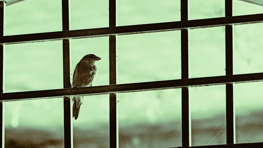 Bird Bath Waiting Branches: What Buyers Should Know 2 bird perching safety observation