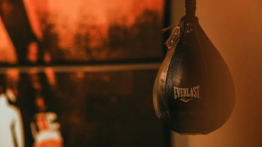 Celebrities Over 50 Reveal Their Workout Secrets: What Shoppers Need to Know 2 boxer punching bags cardio training