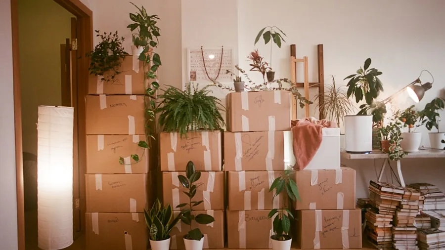 Moving Your Garden Plants: What Homebuyers and Renters Need to Know 3 boxes packed with container plants moving truck
