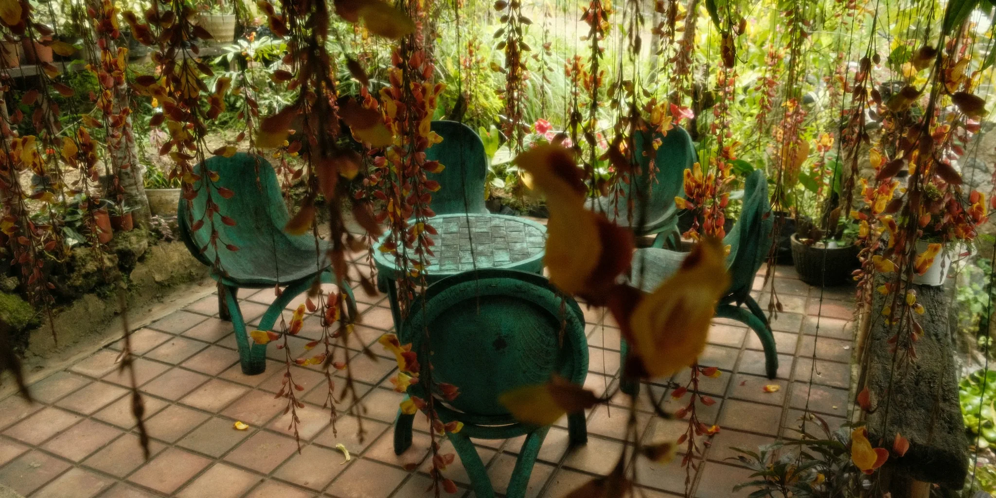 9 Tips to Brighten Your Shady Garden