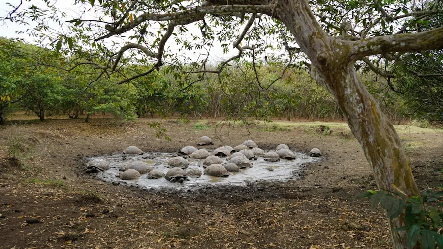 bronze age ceremonial stones water spring