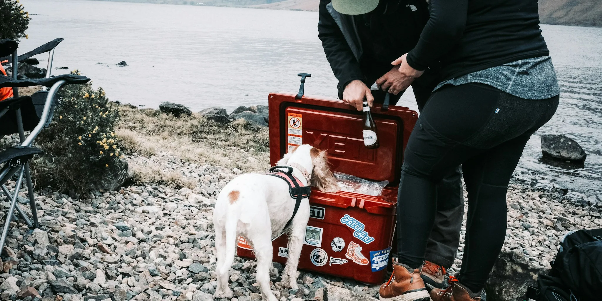 The 5 Best Camping Coolers