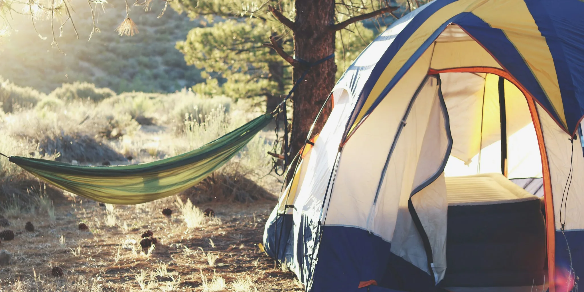 Is the $400 Camping Cot Worth Your Money?