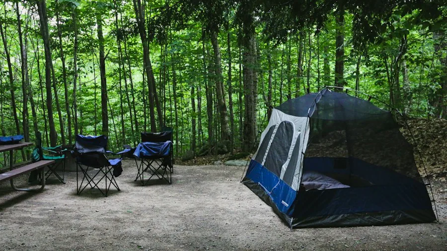Camping on Public Lands: What Recent ICE Arrests Mean for Your Next Trip 2 camping tent setup forest