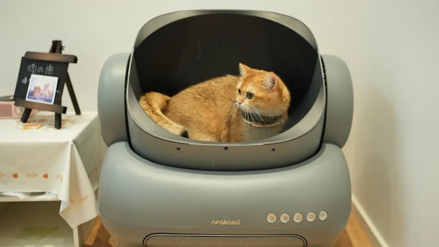 Cat Health Warning Signs Most Owners Miss: What Buyers Should Know 3 cat in litter box
