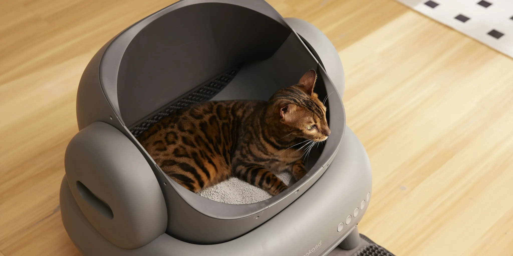 Smart Pet Devices Track Your Cat's Health