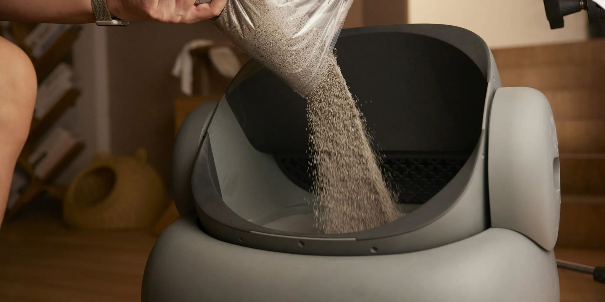 Walnut Shell Litter: What Shoppers Should Know