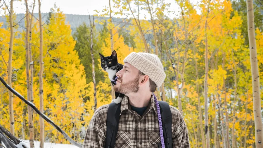 cat owner photography community