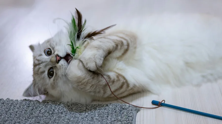 cat playing with interactive toy