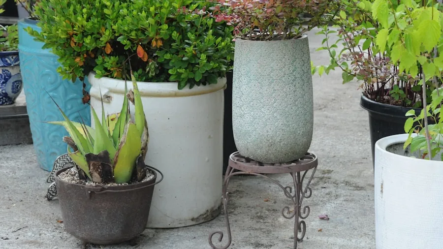 Drew Barrymore's Walmart Garden Collection Goes on Sale: What Shoppers Need to Know 2 ceramic planters flowers patio