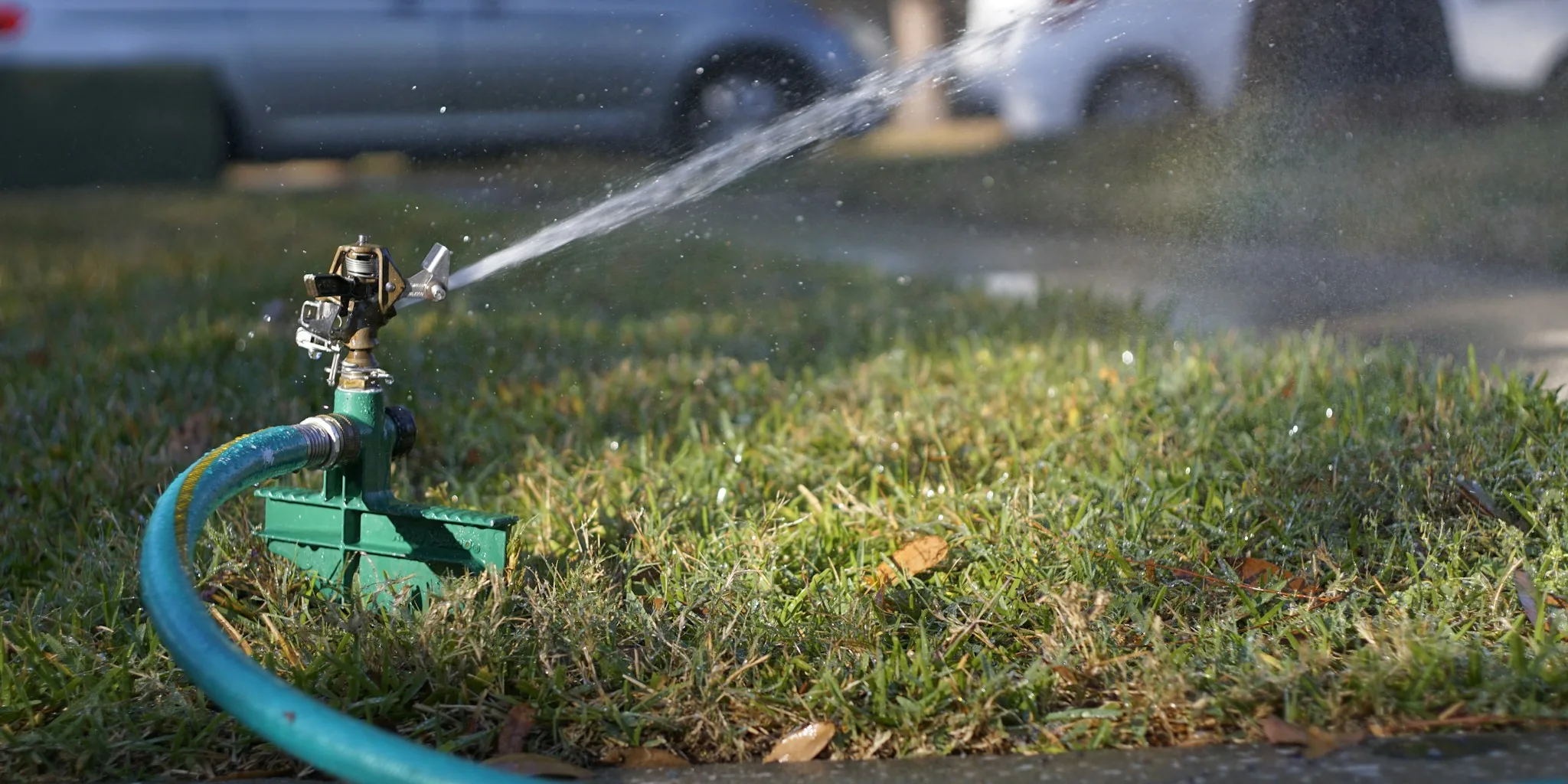 The 6 Best Sprinklers