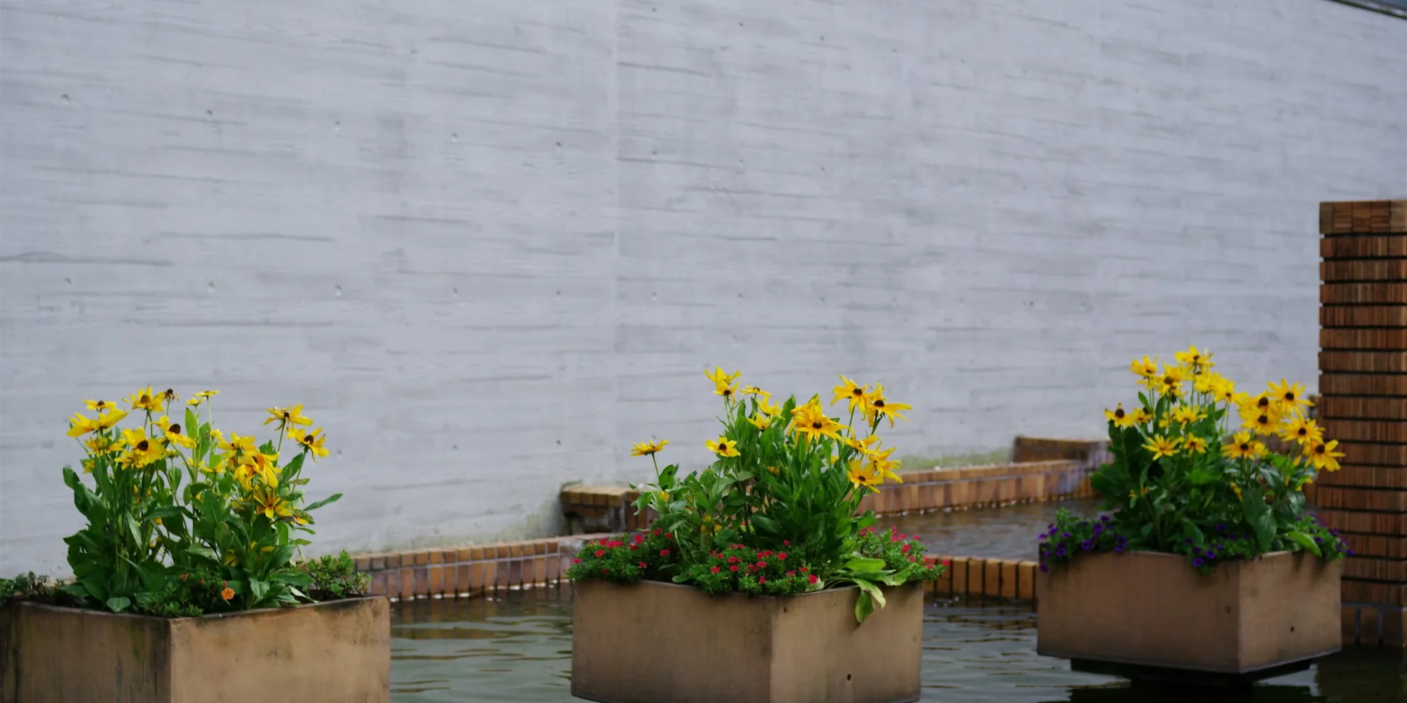 Budget-Friendly Cinder Blocks Transform Your Garden
