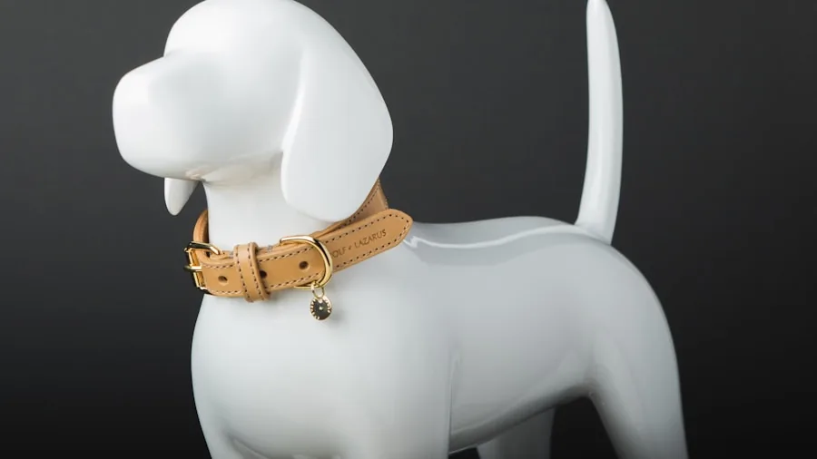 Close-up detail of dog collar buckle and metal hardware during outdoor activity