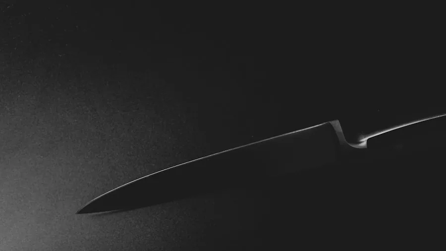 The %product_count% Best Steak Knives 2 Close-up of a sharp knife blade reflecting light, showing steel quality and edge detail