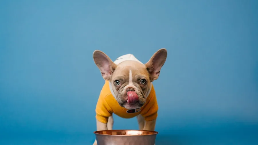 Close-up of a young puppy eating from a bowl, focusing on digestive health and nutrition