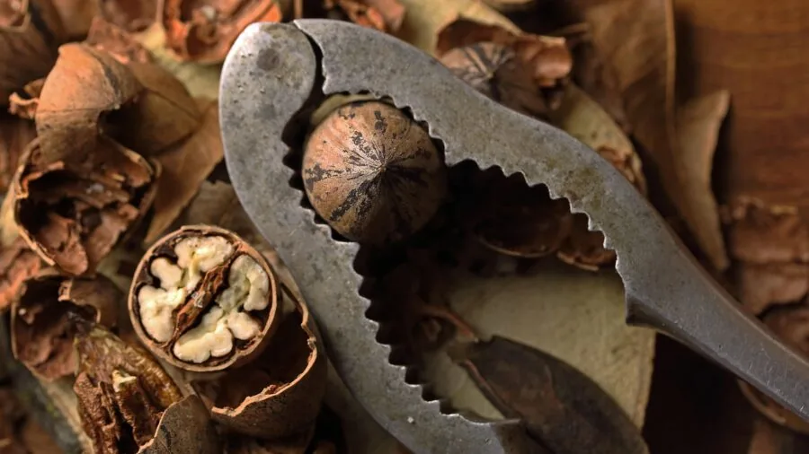 Close-up of boot sole gripping wet muddy forest ground during outdoor hiking adventure