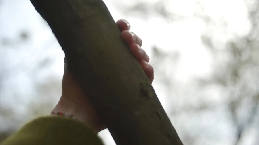 Close-up of climber's hands gripping rock wall during outdoor climbing session