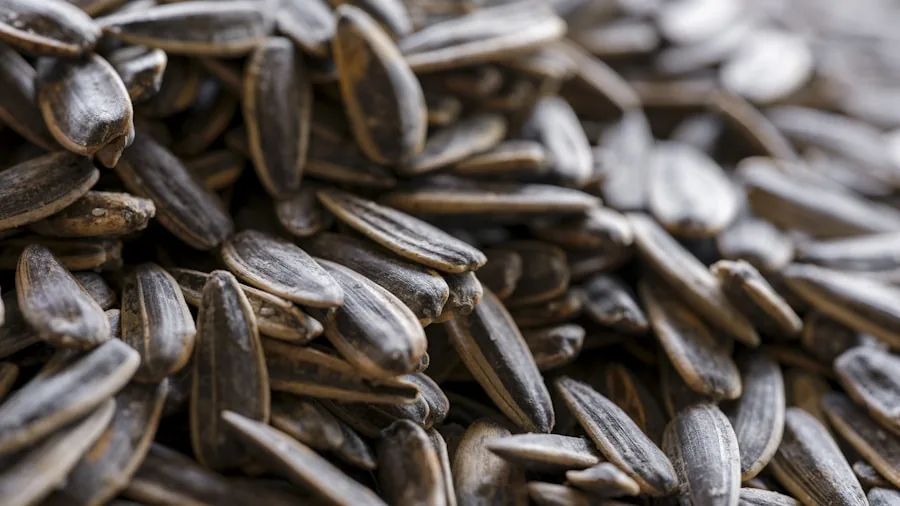 The %product_count% Best Bird Foods 2 Close-up view of various high-quality bird seeds and mealworms mixed together