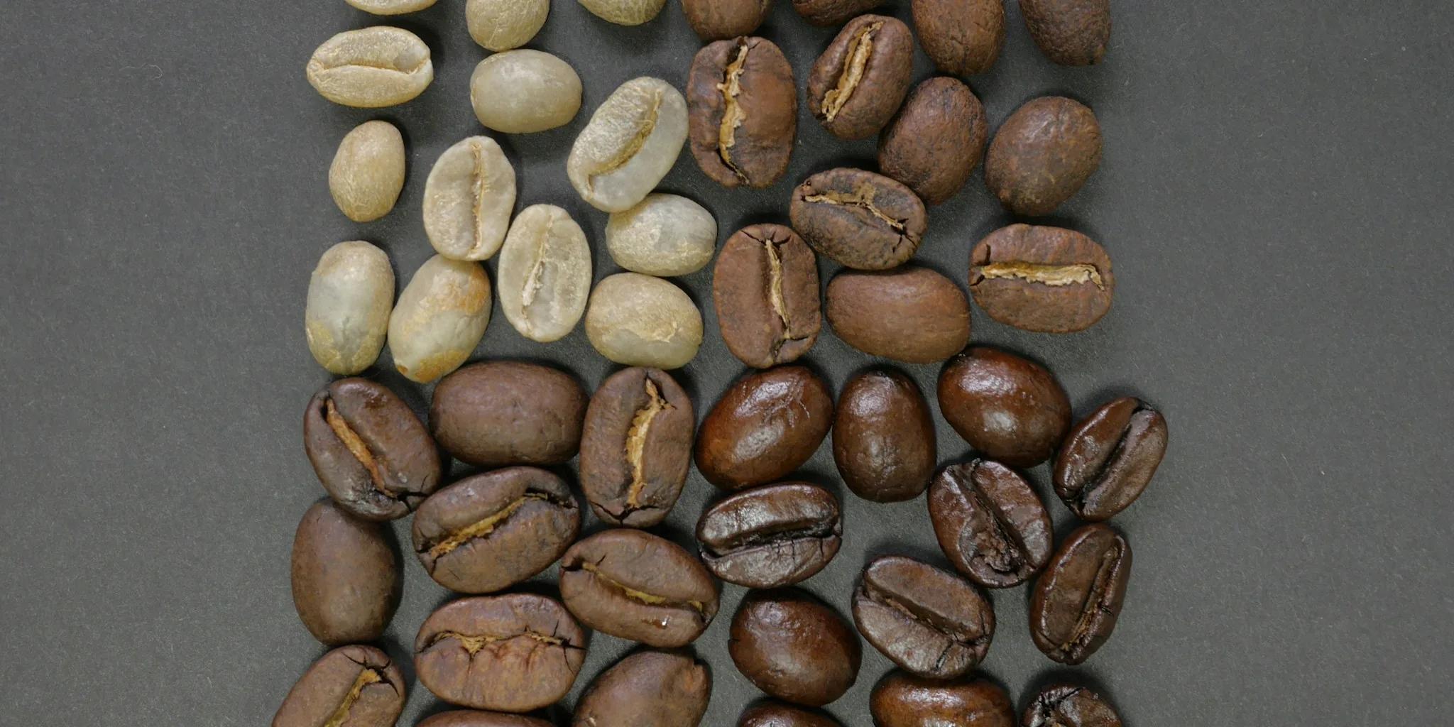 AI Detects Coffee Defects 25 Percent Better by Flipping Beans