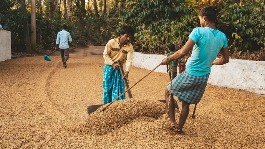 New EU Coffee Rules Will Change What You Buy and Where It Comes From 3 coffee farmer field sustainability