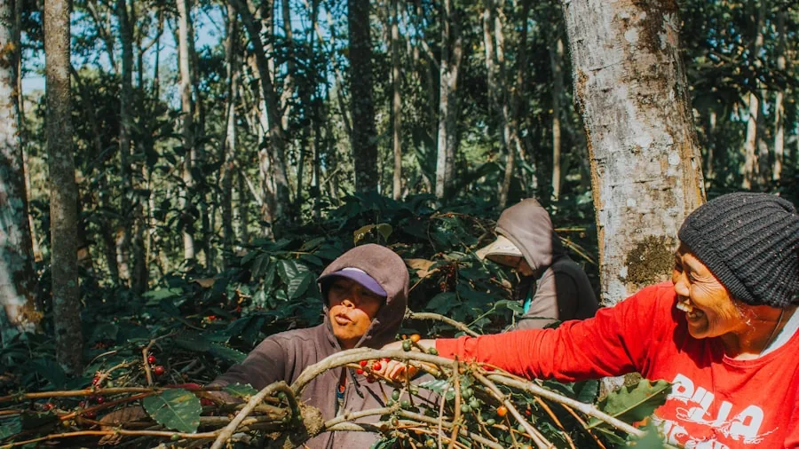 coffee farming cooperative workers