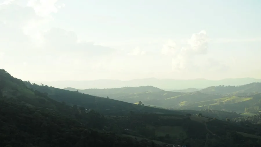 Major Coffee Industry Updates This Week What Shoppers Should Know 2 coffee farming mountains countryside