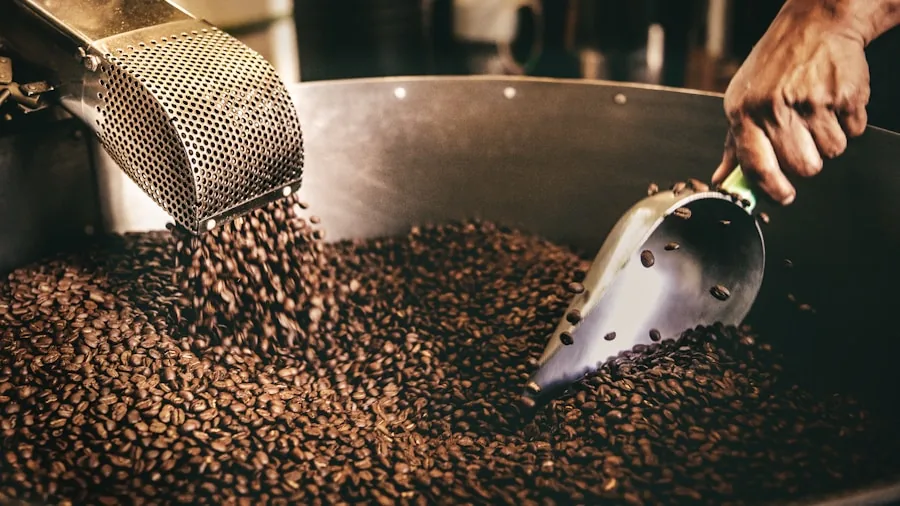 coffee roasting studio professional