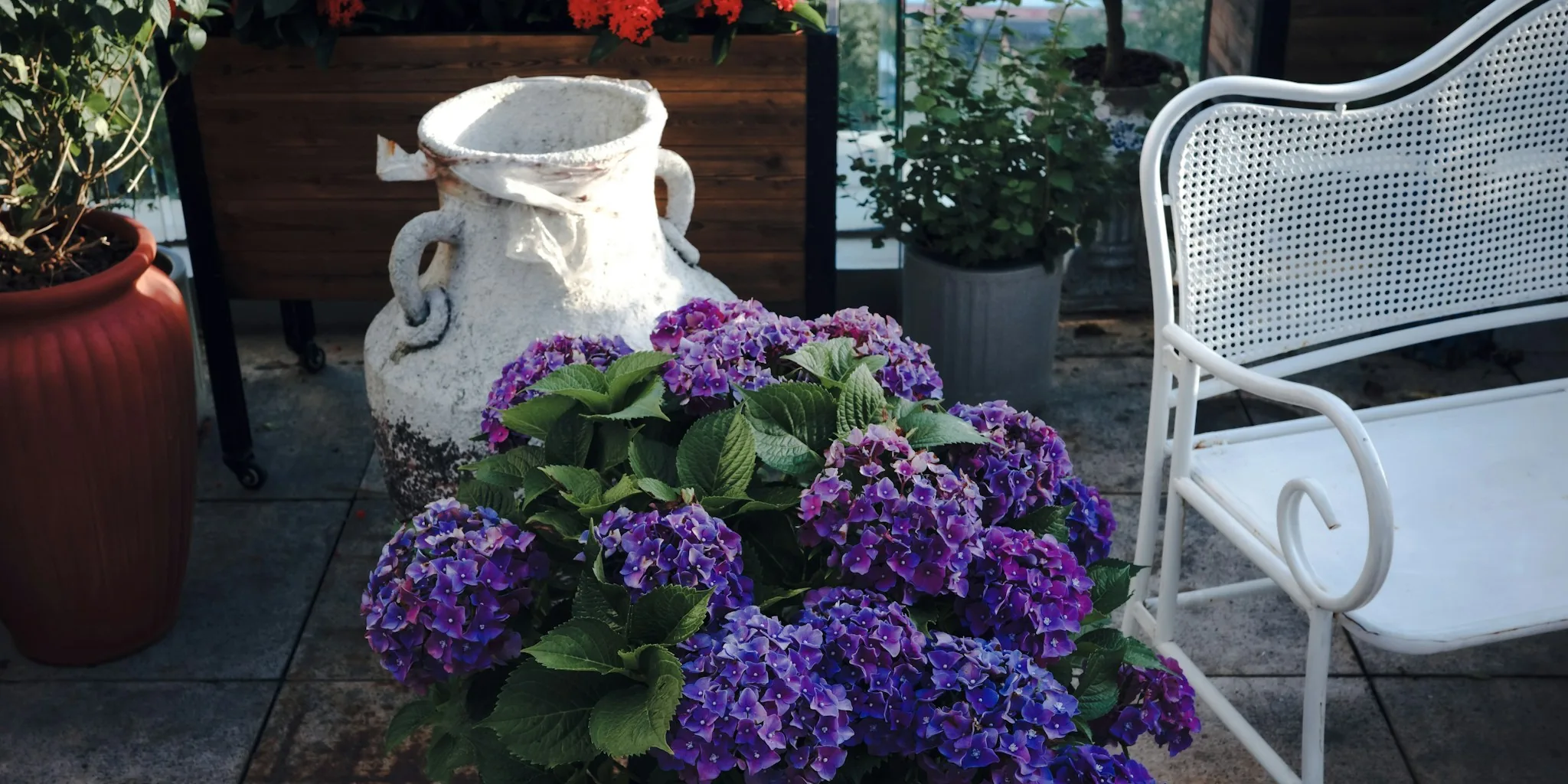 Fast Growing Container Plants for Season Long Color
