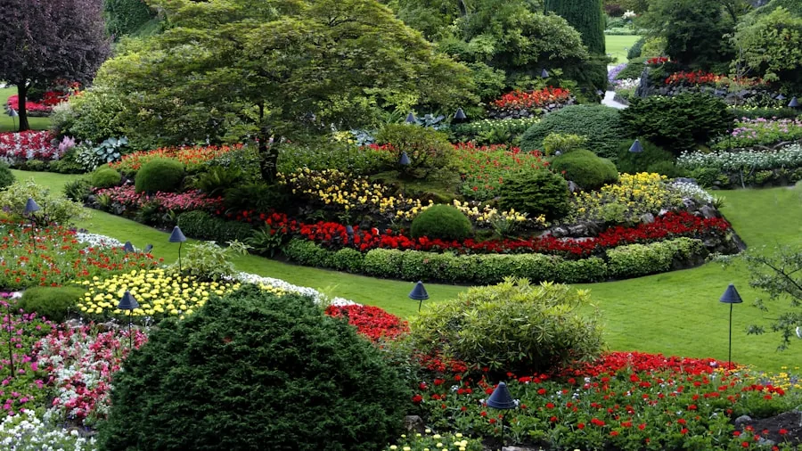 Groundbreaker Hydrangea: New Plant Variety Lands in the US and Buyers Are Racing to Order 3 compact garden design landscape