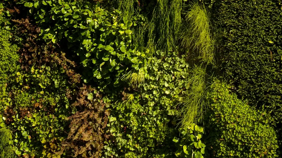 concrete blocks vertical garden planting