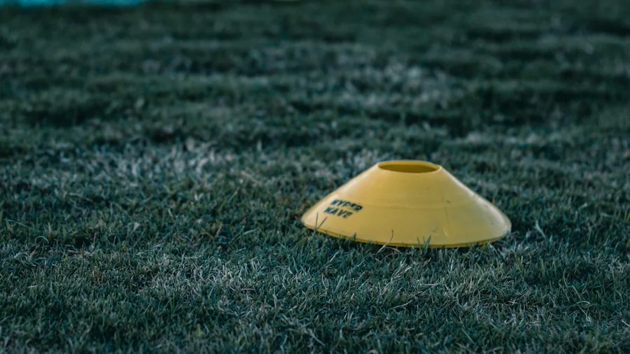 Ja'Marr Chase's Explosive Workout Routine What Buyers Should Know 2 cone drill agility ladder