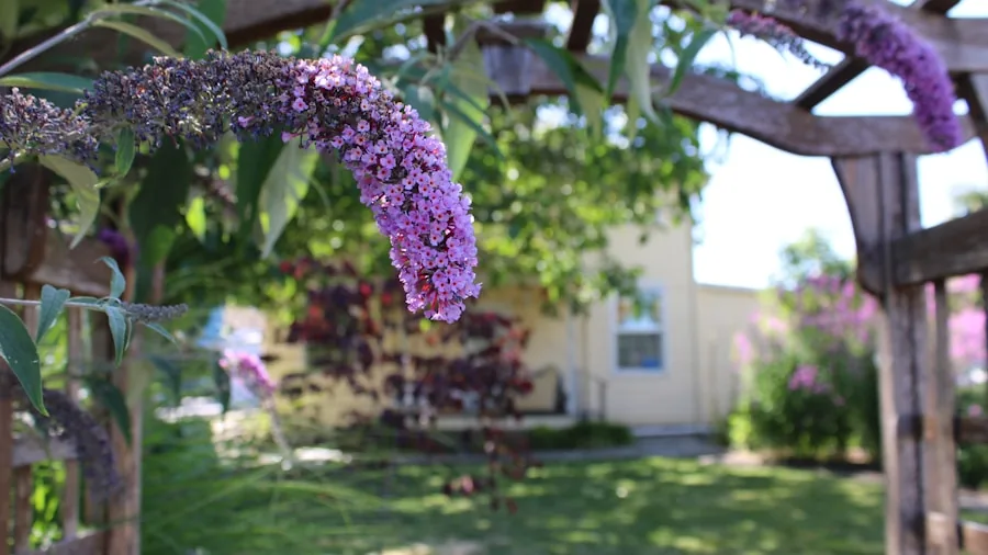 Celebrity Garden Design Ideas That Shoppers Can Actually Afford 2 cottage garden archway climbing plants