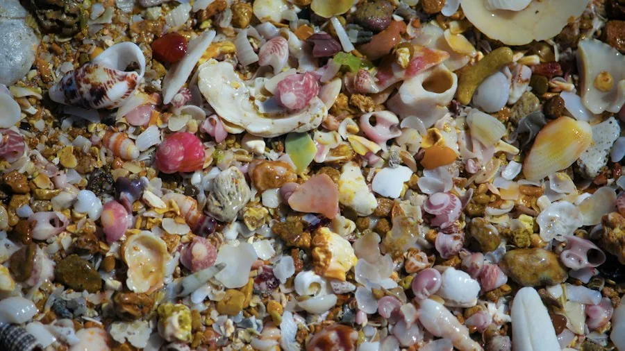6 Kitchen Scraps That Transform Your Garden Soil This Fall 2 crushed seafood shells compost