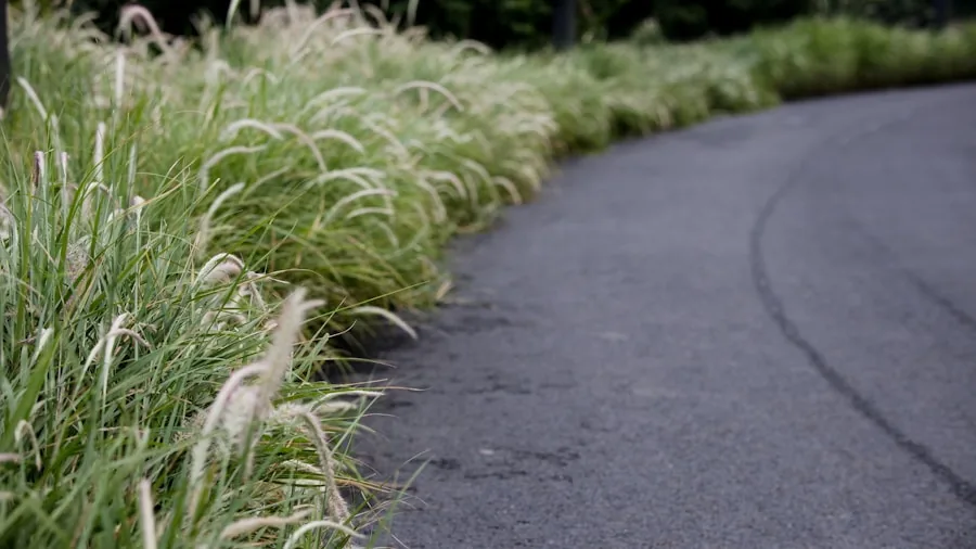 7 Tips to Make Your Garden Feel Bigger and More Open 2 curved pathway ornamental grasses