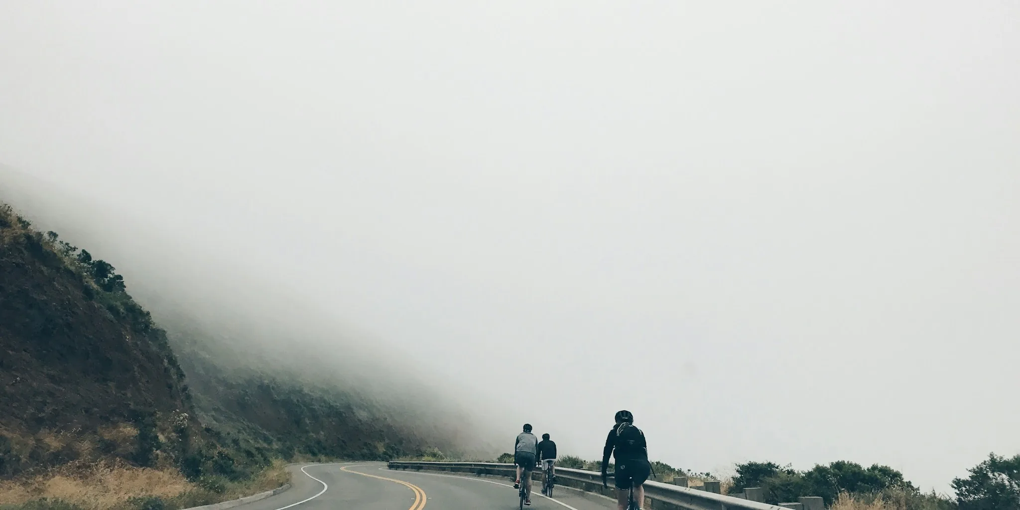The 5 Best Road Bikes