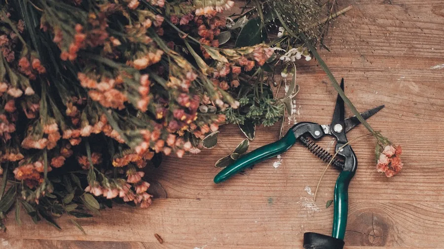 5 Tips to Get a Second Flush of Daylily Blooms Before Fall 2 deadheading pruning shears flowers