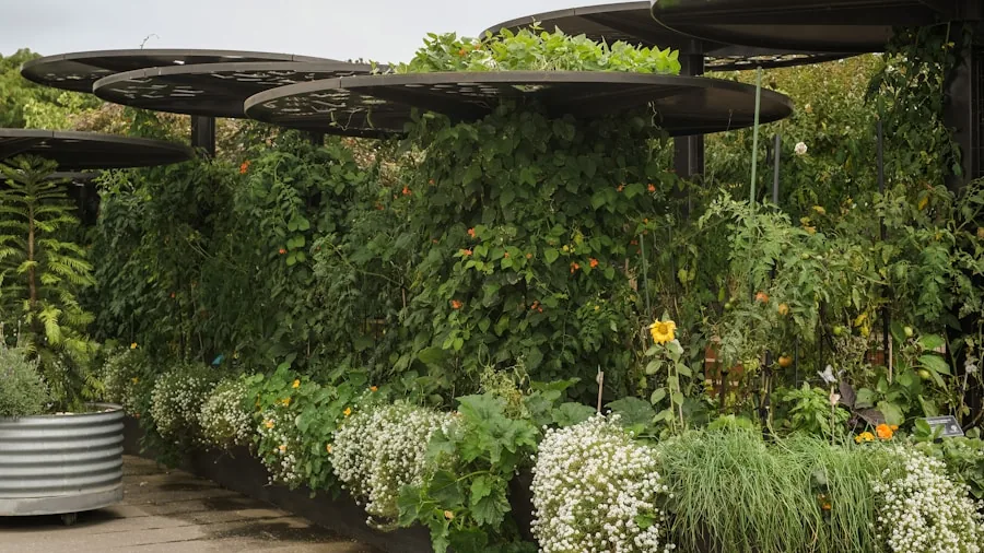 How to Make Your Garden a Wildlife Refuge During Heat Waves: What Shoppers Need to Know 3 dense garden shade plants shelter