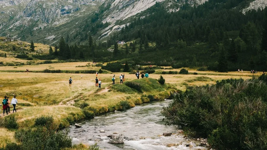 Nearly 30 National Parks Now Offer Free Adaptive Wheelchairs for Hiking 2 disabled hiker mountain stream nature