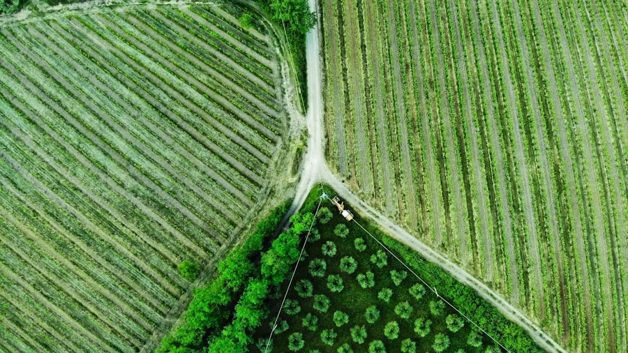 Indonesia's Social Forestry Program Expands Coffee Production While Protecting Forests 3 diverse crop agroforestry system