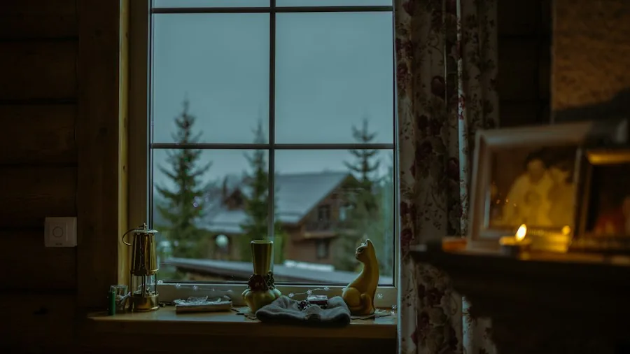 Seven New Shows and Movies to Stream This Weekend on Netflix Disney Plus and Prime Video 3 documentary viewing cozy home