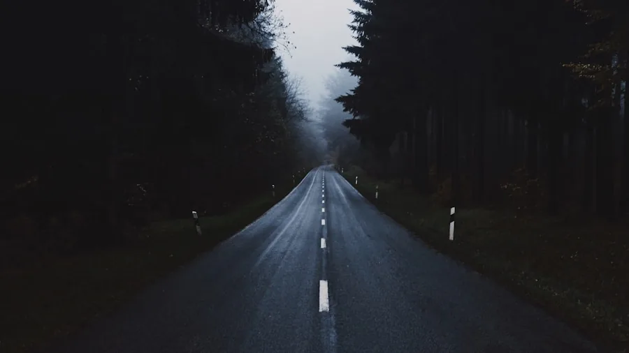 The %product_count% Best Headlight Bulbs 6 Driver navigating dark road at night with vehicle headlights illuminating the path ahead