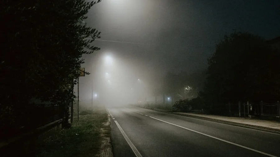 The %product_count% Best LED Headlight Bulbs 5 Driver's perspective of a well-lit road at night with clear visibility of the pavement and surroundings